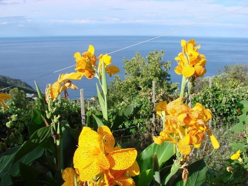 Case Vacanza Reggimonti Cinque Terre Bonassola Exteriör bild